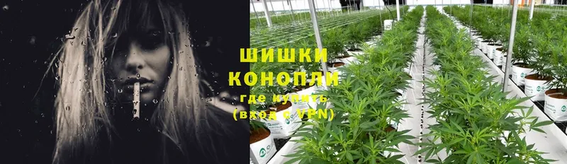 Бошки Шишки SATIVA & INDICA  hydra как зайти  Боровичи 